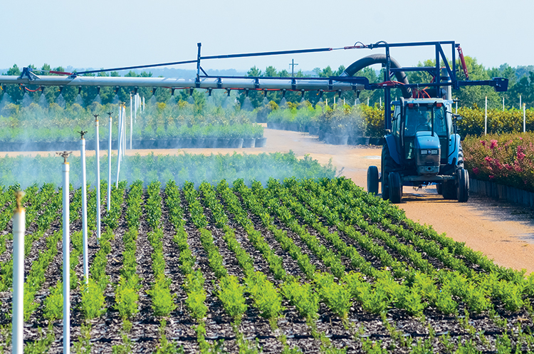 F7- Horticulture Industry les industries de l’agriculture et de l’horticulture en Tunisie